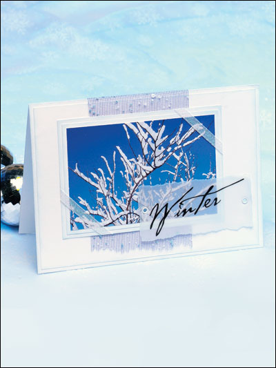 Winter Card II photo